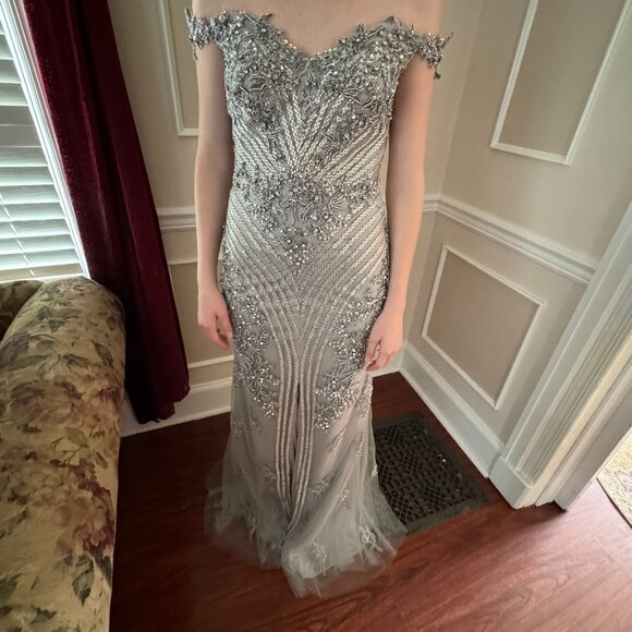 Silver Gown from the Colors Dress Collection at Seng Couture - Picture 6 of 16